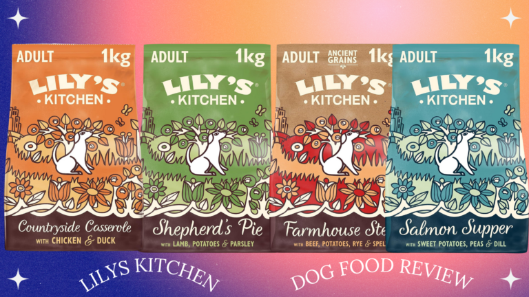 Lily's Kitchen Natural Grain Free Dry Dog Food